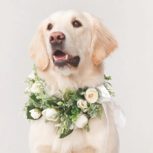Collar de Flores